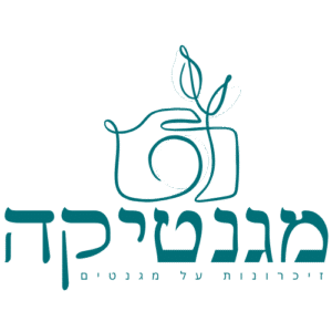 מגנטיקה