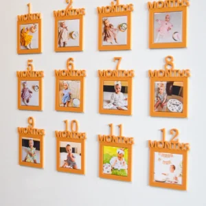 מסגרות 12 חודשים